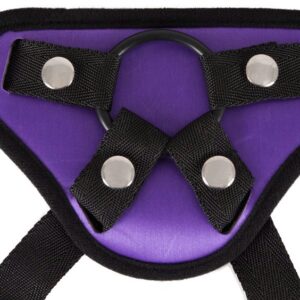 HARNESS WITH 3 RINGS